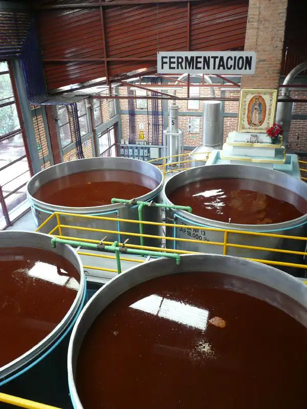 Tanques de fermentación de agave
