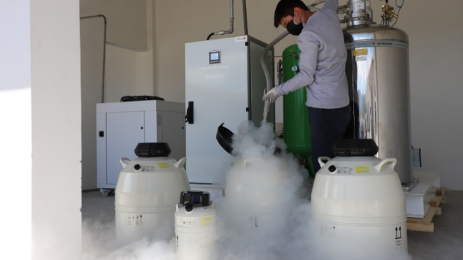 El aire comprimido en la industria vitivinícola para la producción de nitrógeno